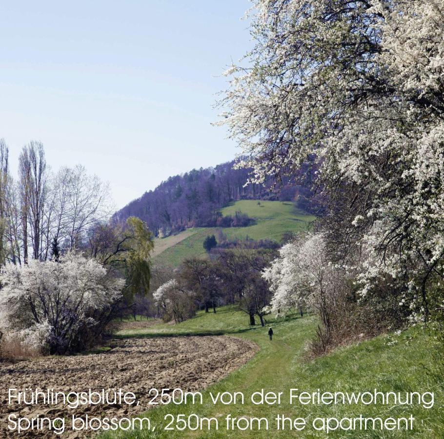 Passivhaus 750M Vom Bodensee -- 2X E-Bike Inklusive -- Neubau 2019 Am Ortsrand Ohningen Zewnętrze zdjęcie